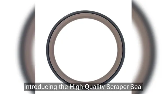 Newly Original Design Hydraulic Piston Seal for Bargain---Gsf